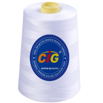 Polyester Sewing Thread 30/2